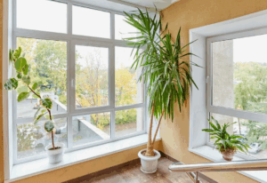 Купить окна ПВХ выгодно — тепло, тишина и комфорт в вашем доме Купить окна ПВХ выгодно — тепло, тишина и комфорт в вашем доме